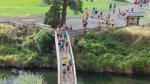 Is Big Birdcamp for You?