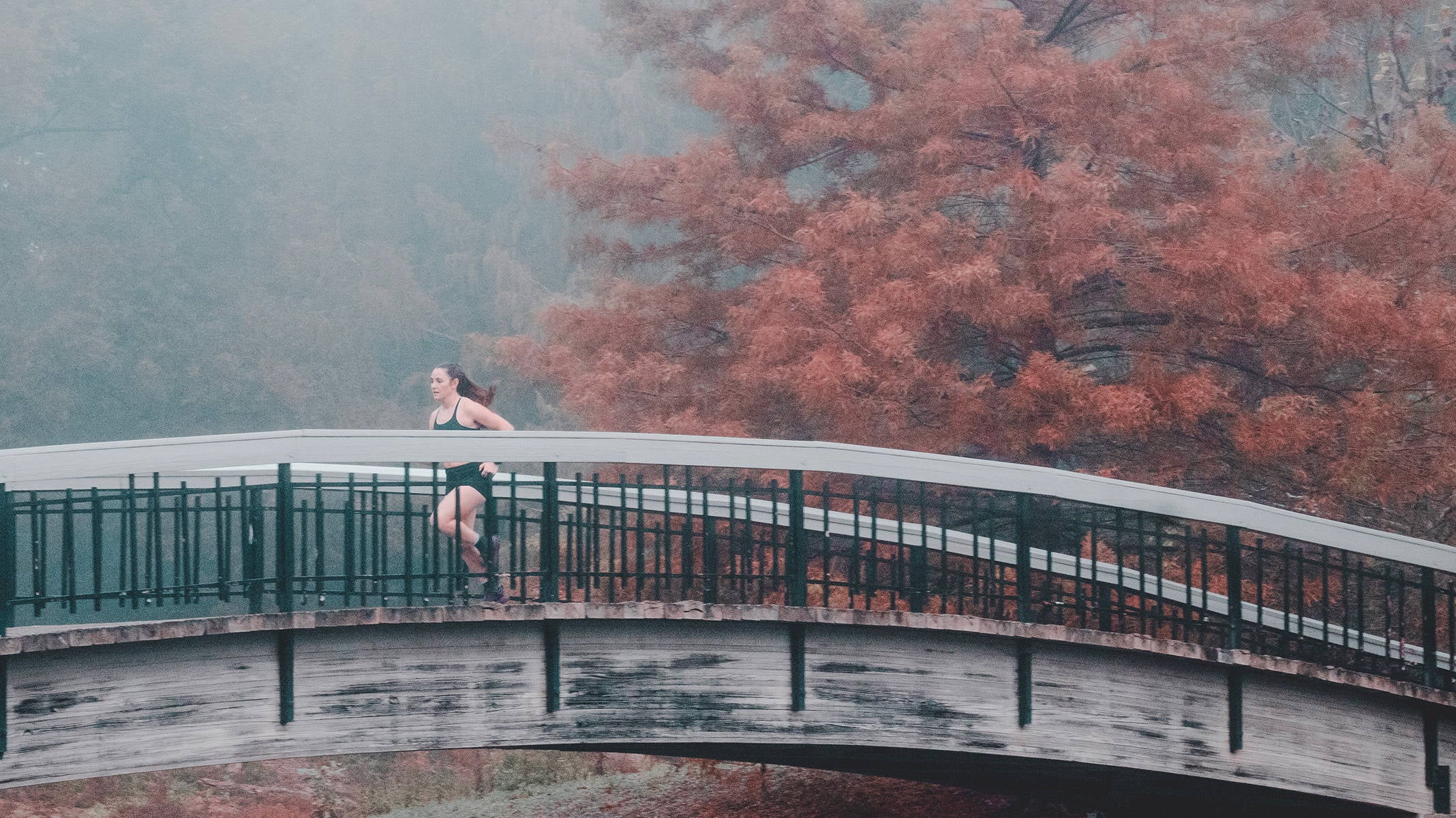 QUARANTINE, LIBERATION, AND RECOVERY