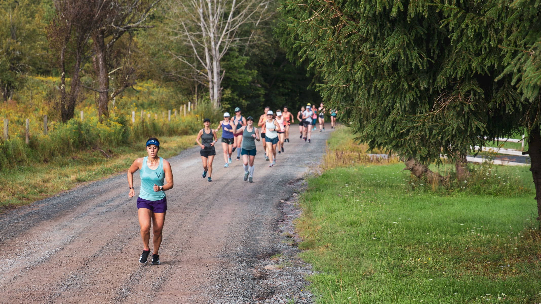 Use Your Imagination