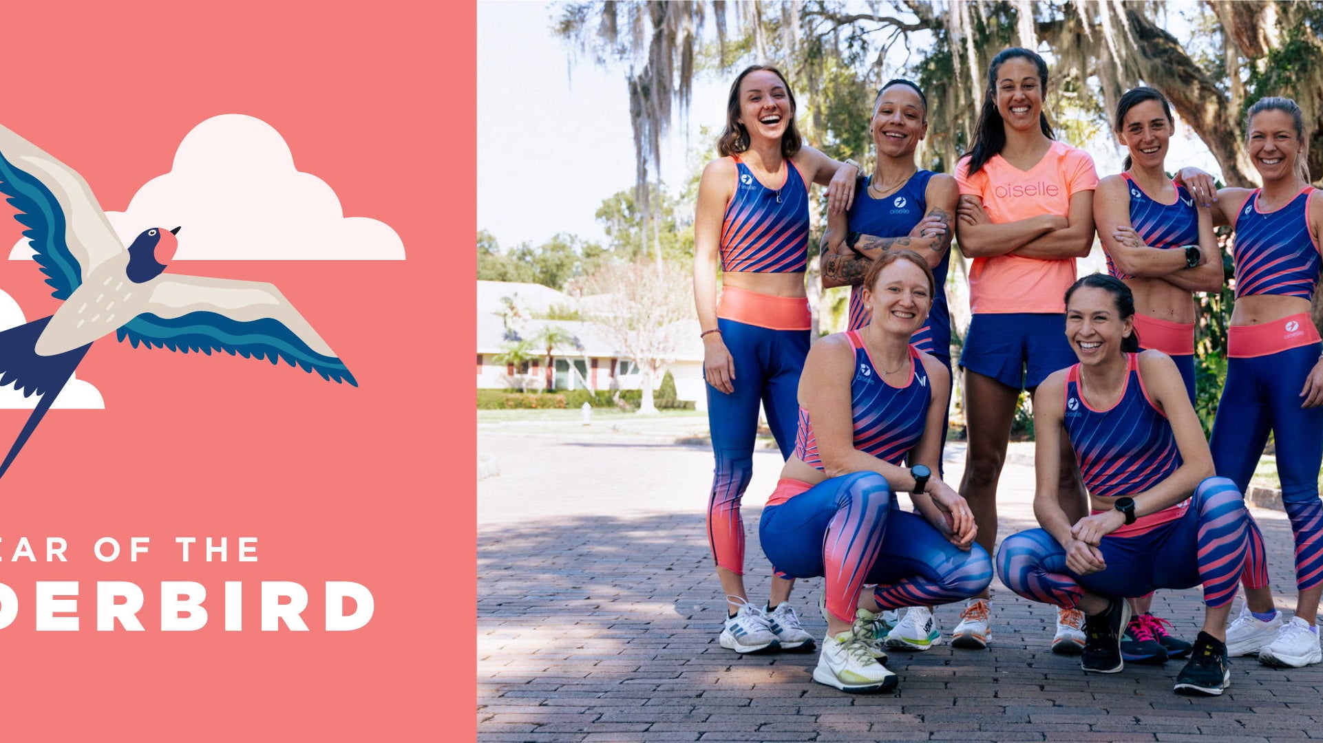 Reflecting on the Year of the Underbird