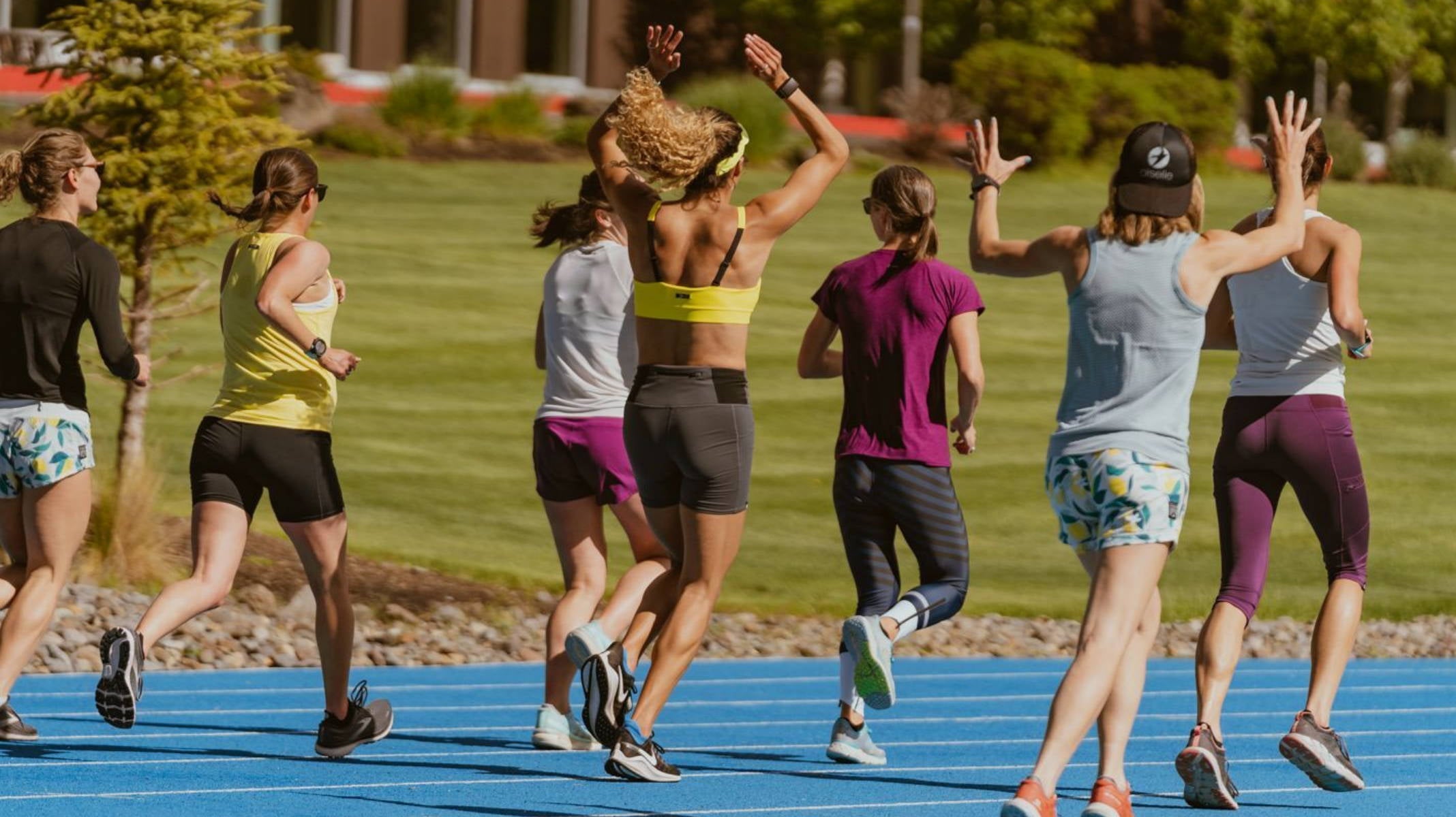 NOTES ON A SABBATICAL