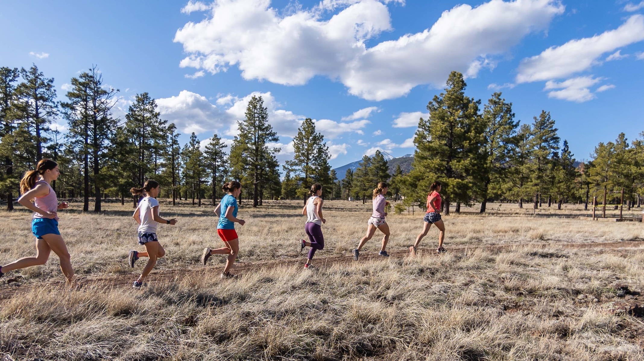 HAUTE VOLÉE AND THE NEW NORMAL