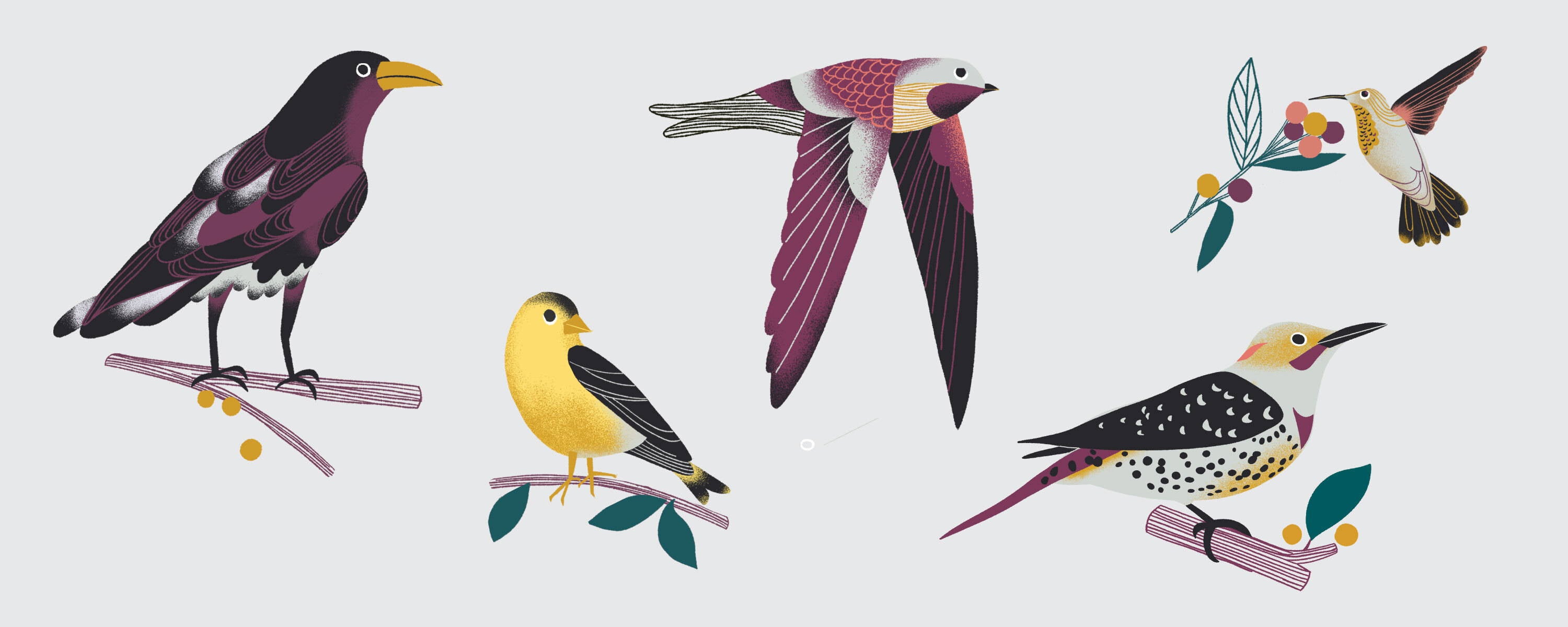 SPRING 2021: THE AVIARY