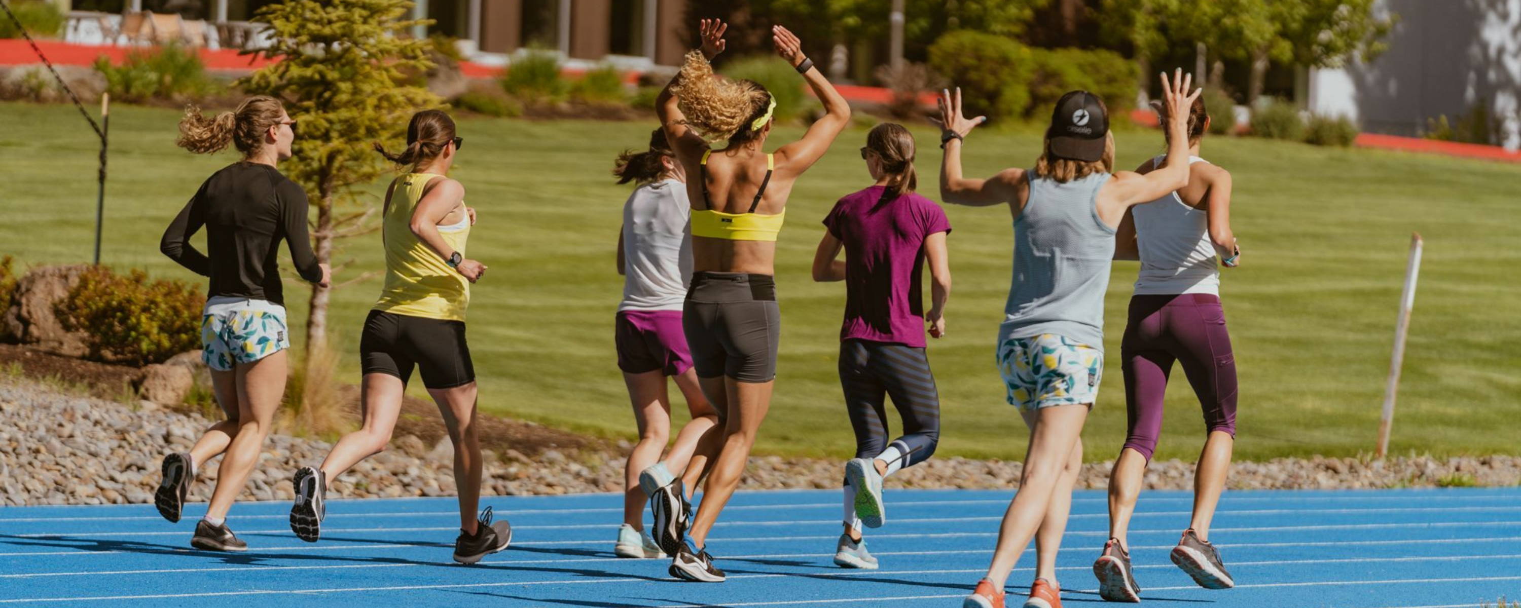 NOTES ON A SABBATICAL